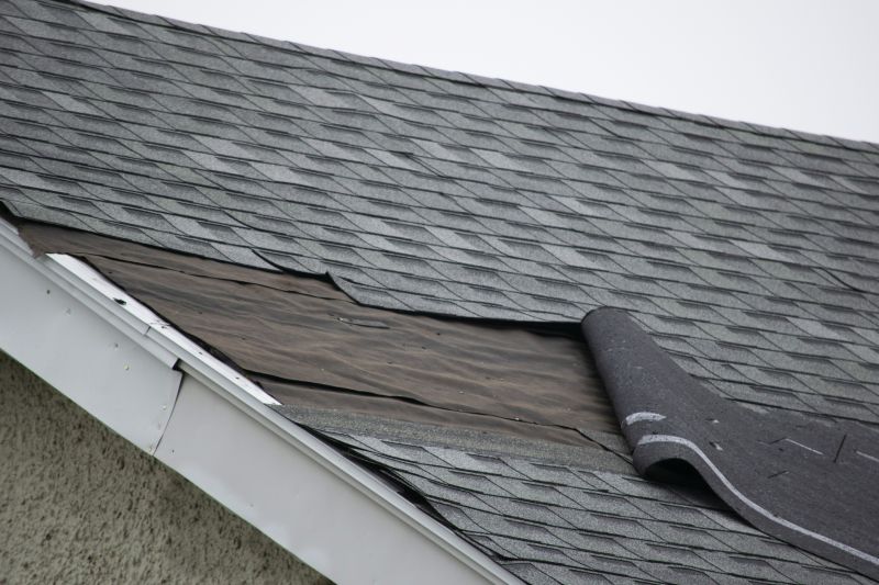 Weather-Resistant Roofing
